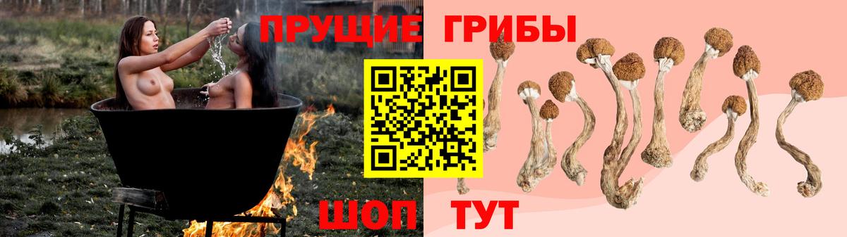 Рославль  Галлюциногенные грибы Cubensis  Вход с VPN 